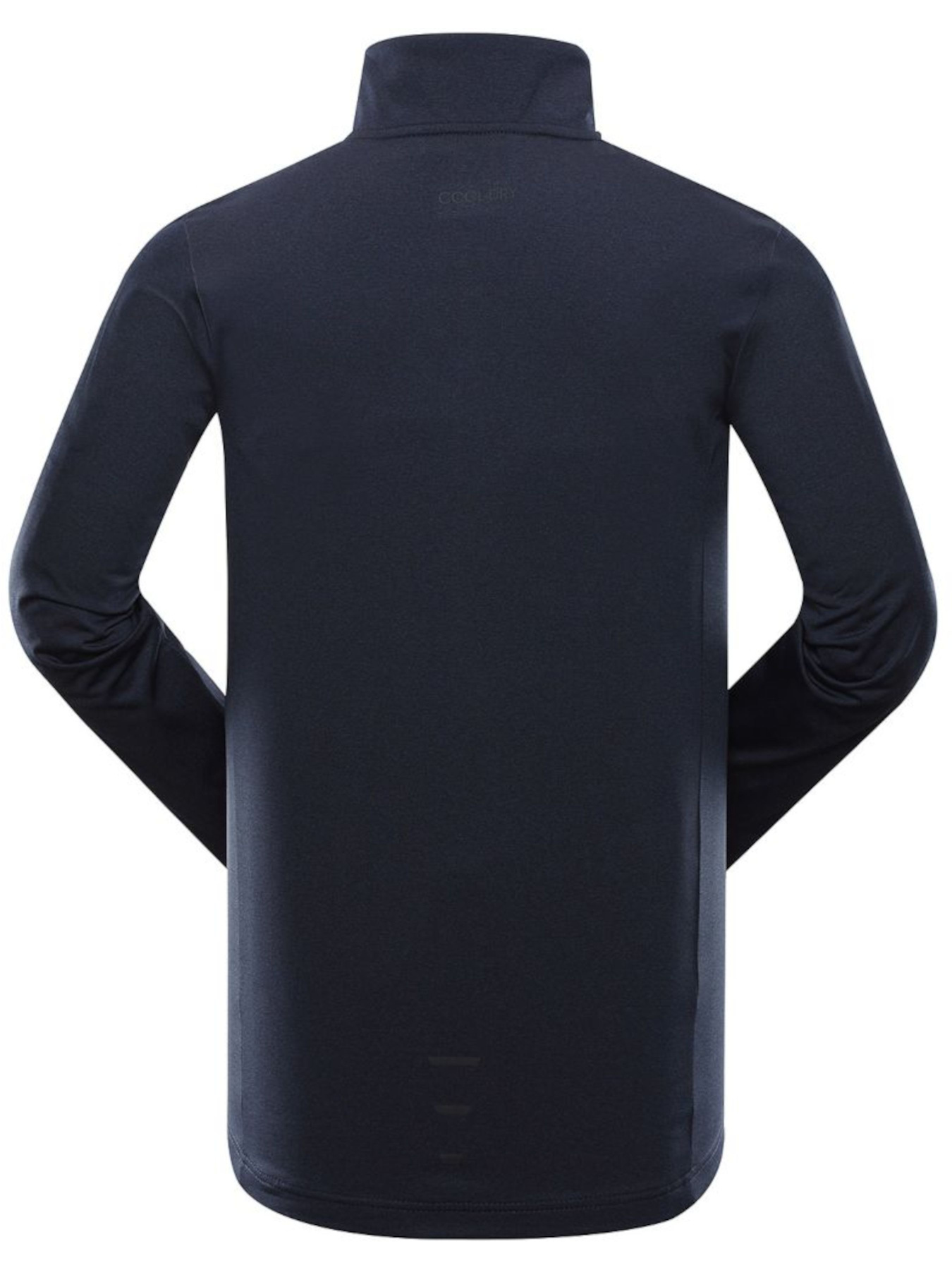 Спортивная кофта ALPINE PRO Fraseb модель 100041110 Фото