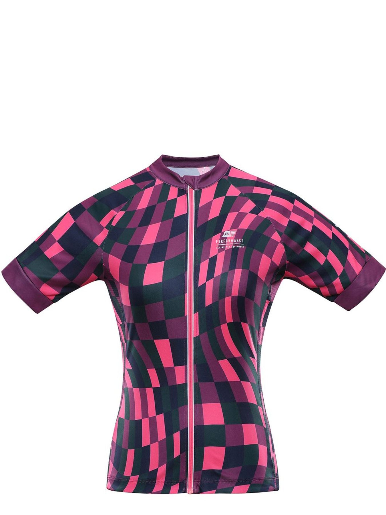 Футболка спортивная ALPINE PRO Sagena модель 100064611 Фото