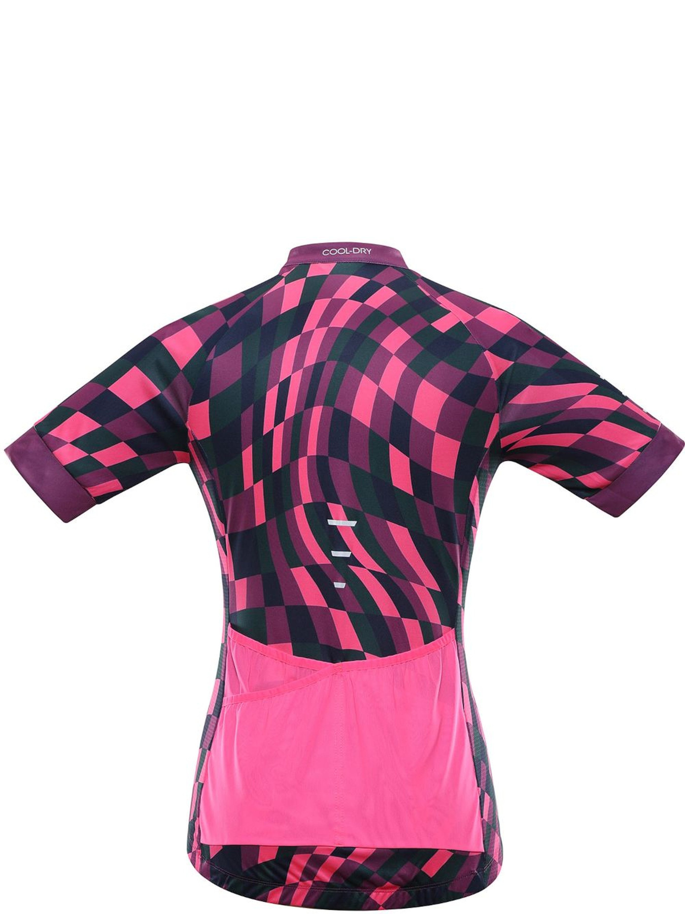 Спортивна футболка ALPINE PRO Sagena модель 100064611 Спортивна футболка ALPINE PRO Sagena модель 100064611 Фото