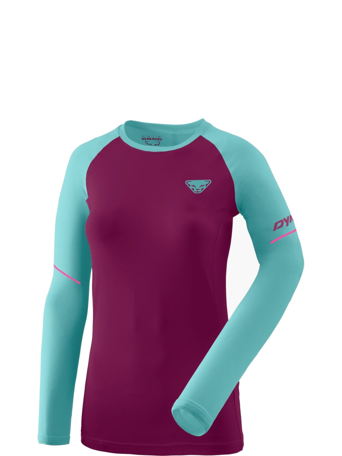 Спортивная кофта DYNAFIT Alpine Pro модель 100068799 Фото