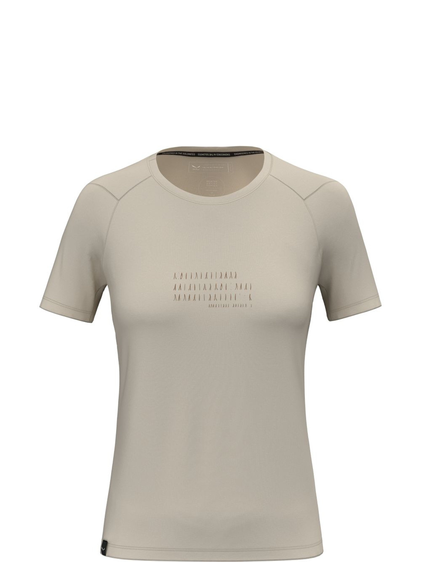 Футболка спортивная Salewa Eagle Poem Dry T-Shirt модель 100073118 Фото