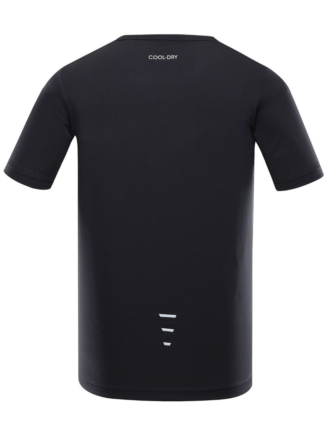 Футболка спортивная ALPINE PRO Basik модель 100008207 Фото