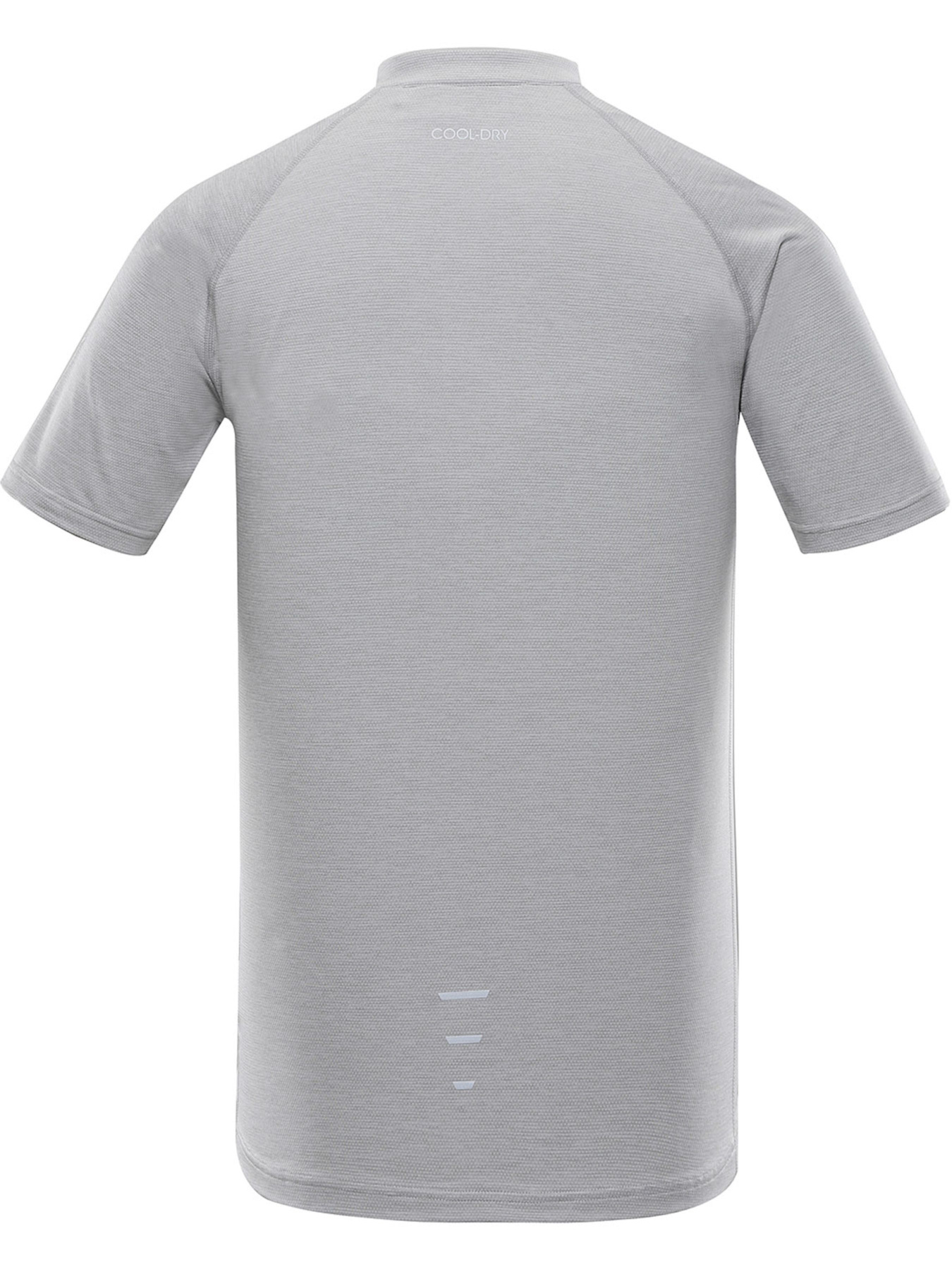 Футболка спортивная ALPINE PRO Latter модель 100065412 Фото