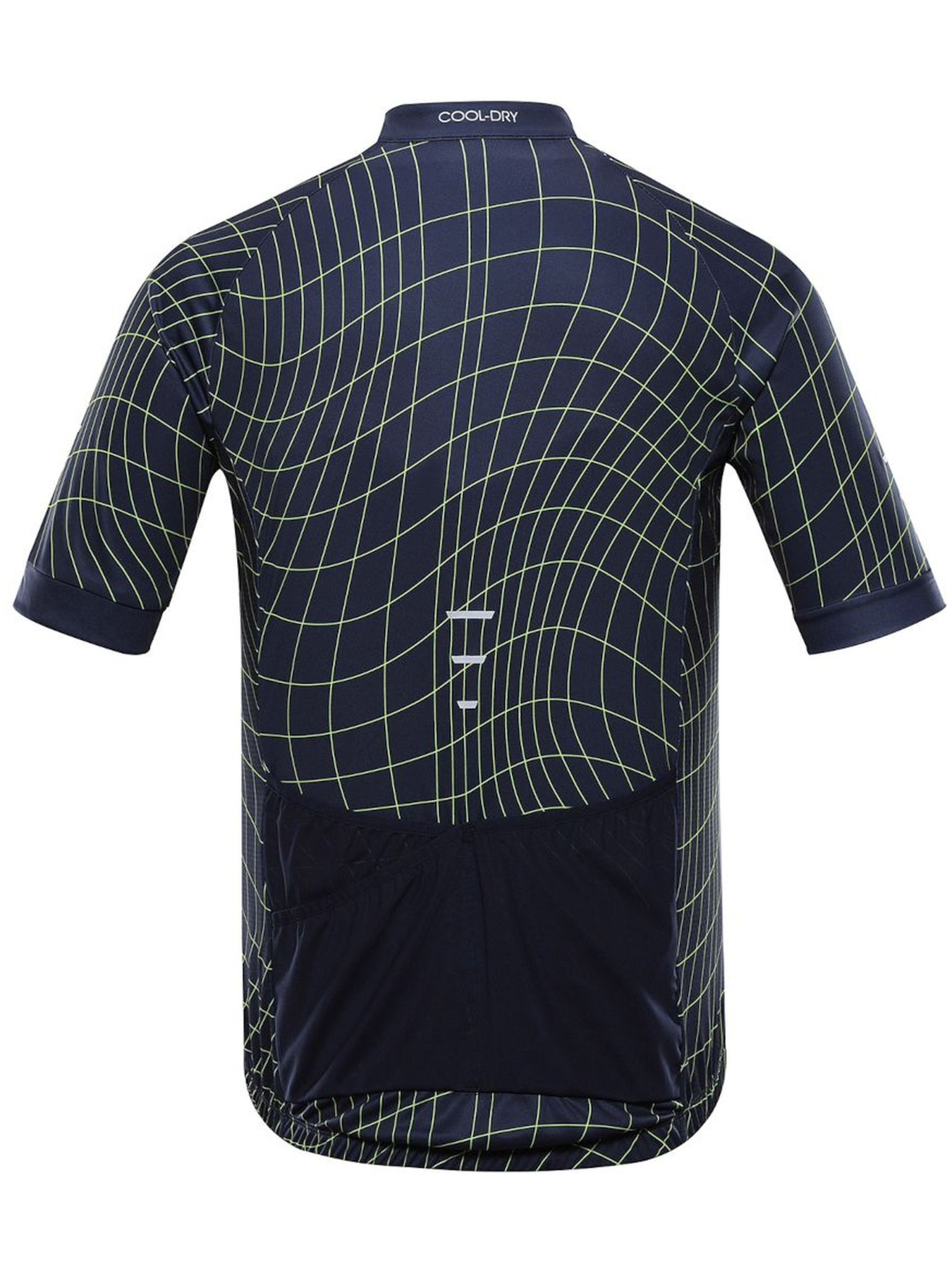 Спортивна футболка ALPINE PRO Sagen модель 100003525 Фото