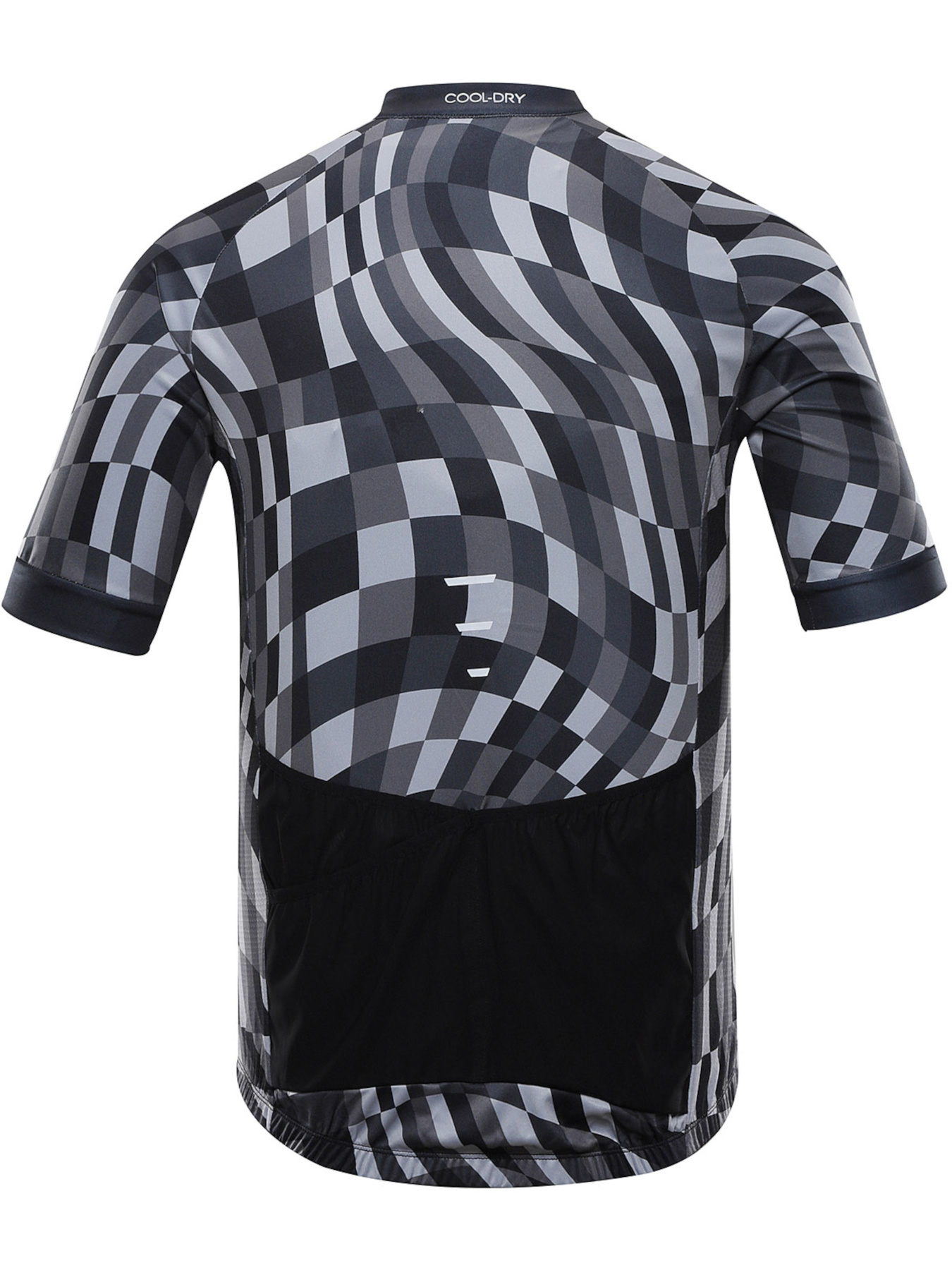 Спортивная футболка ALPINE PRO Sagen модель 100064865 Фото