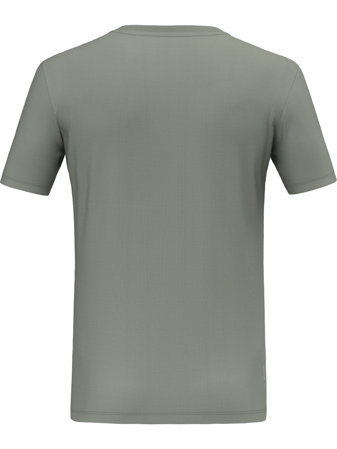 Футболка спортивная Salewa Eagle Poem Dry T-Shirt модель 100073211 Фото