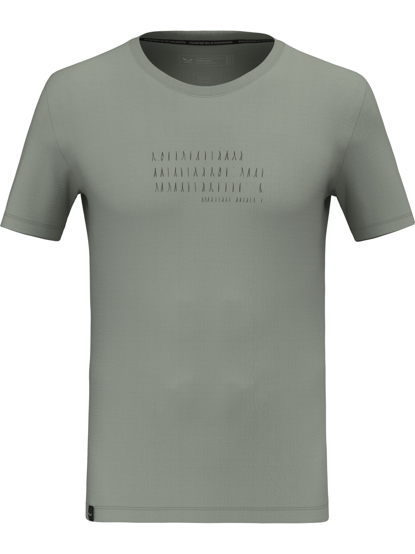 Футболка спортивная Salewa Eagle Poem Dry T-Shirt модель 100073211 Фото