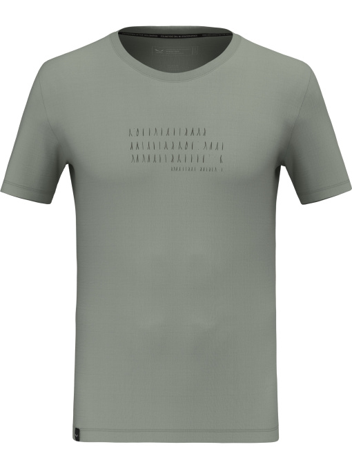 Футболка спортивная Salewa Eagle Poem Dry T-Shirt модель 100073211 Фото