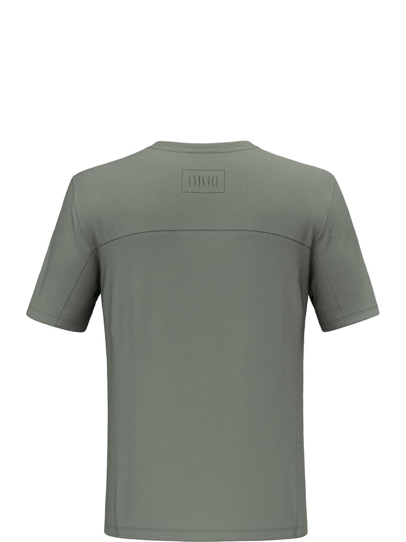 Футболка спортивная Salewa Fanes Dry  T-shirt модель 100073194 Фото