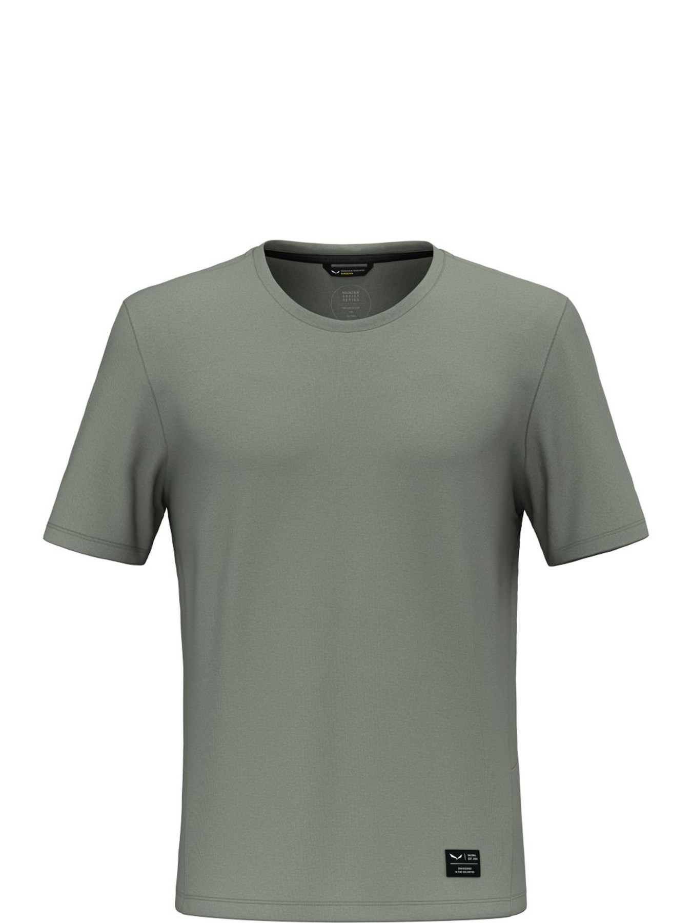 Спортивная футболка Salewa Fanes Dry  T-shirt модель 100073194 Фото