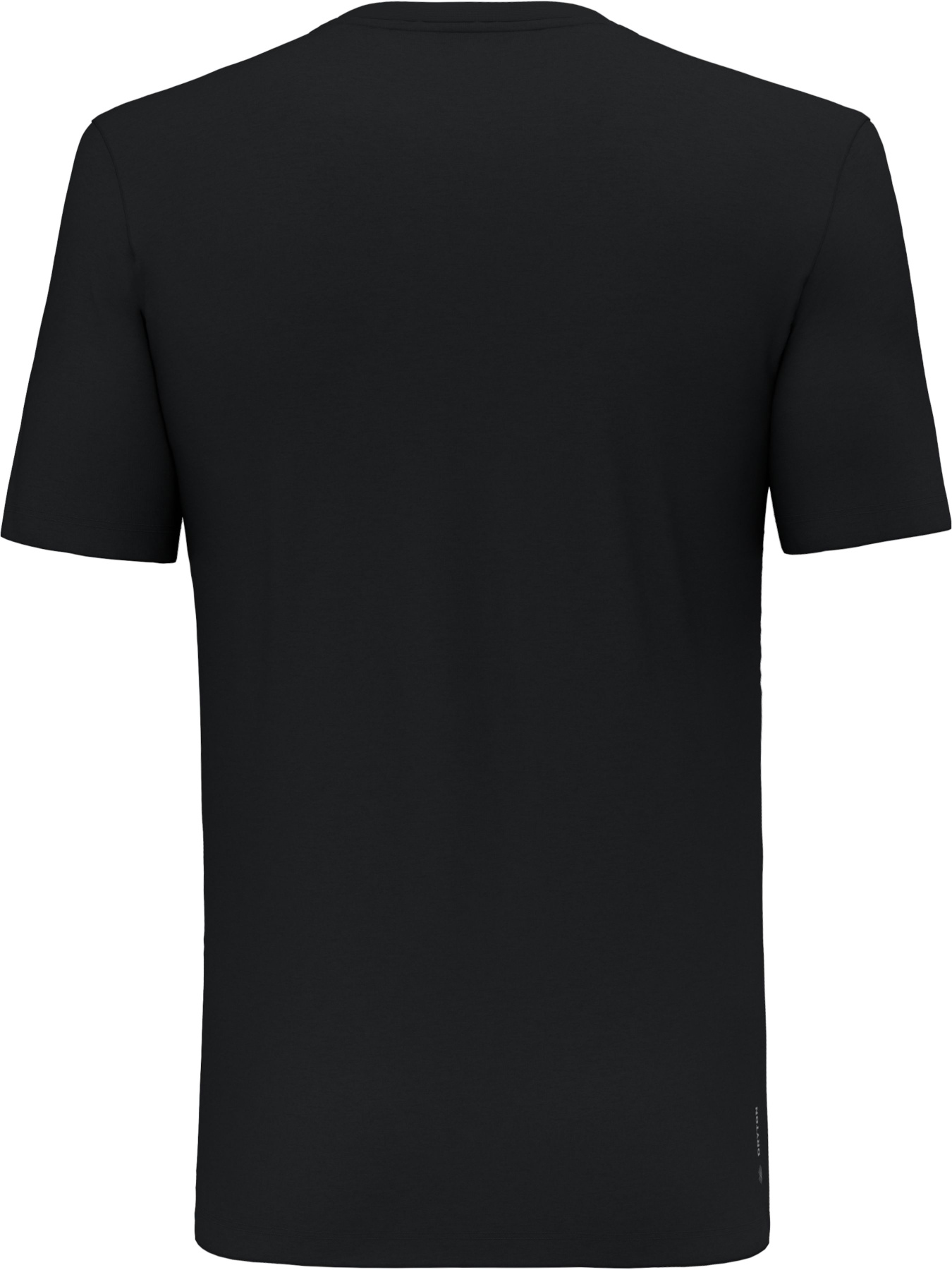 Спортивная футболка Salewa Pure Eagle Frame Dry T-shirt модель 100073160 Фото