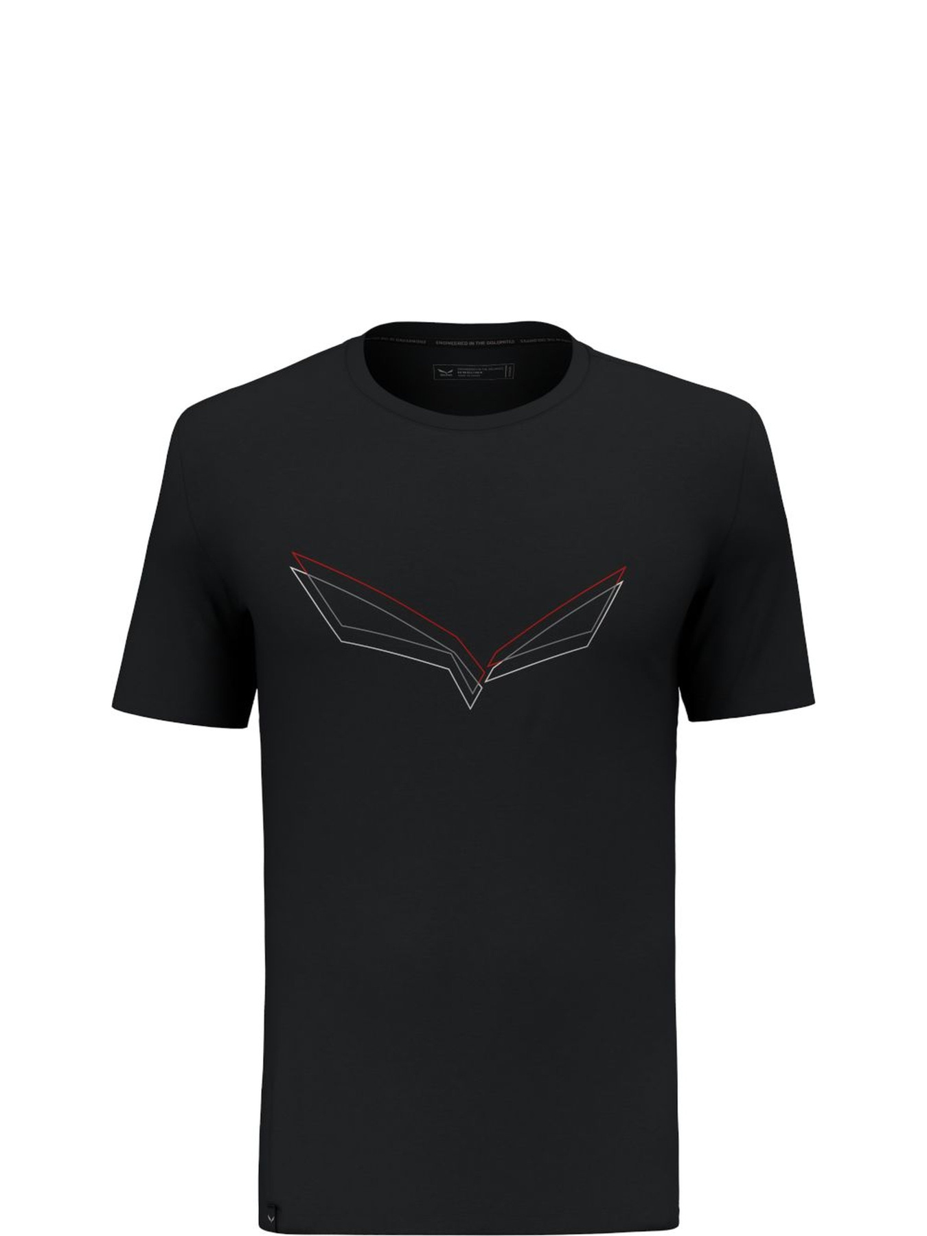 Спортивная футболка Salewa Pure Eagle Frame Dry T-shirt модель 100073160 Фото