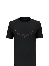 Спортивная футболка Salewa Pure Eagle Frame Dry T-shirt модель 100073160 Фото