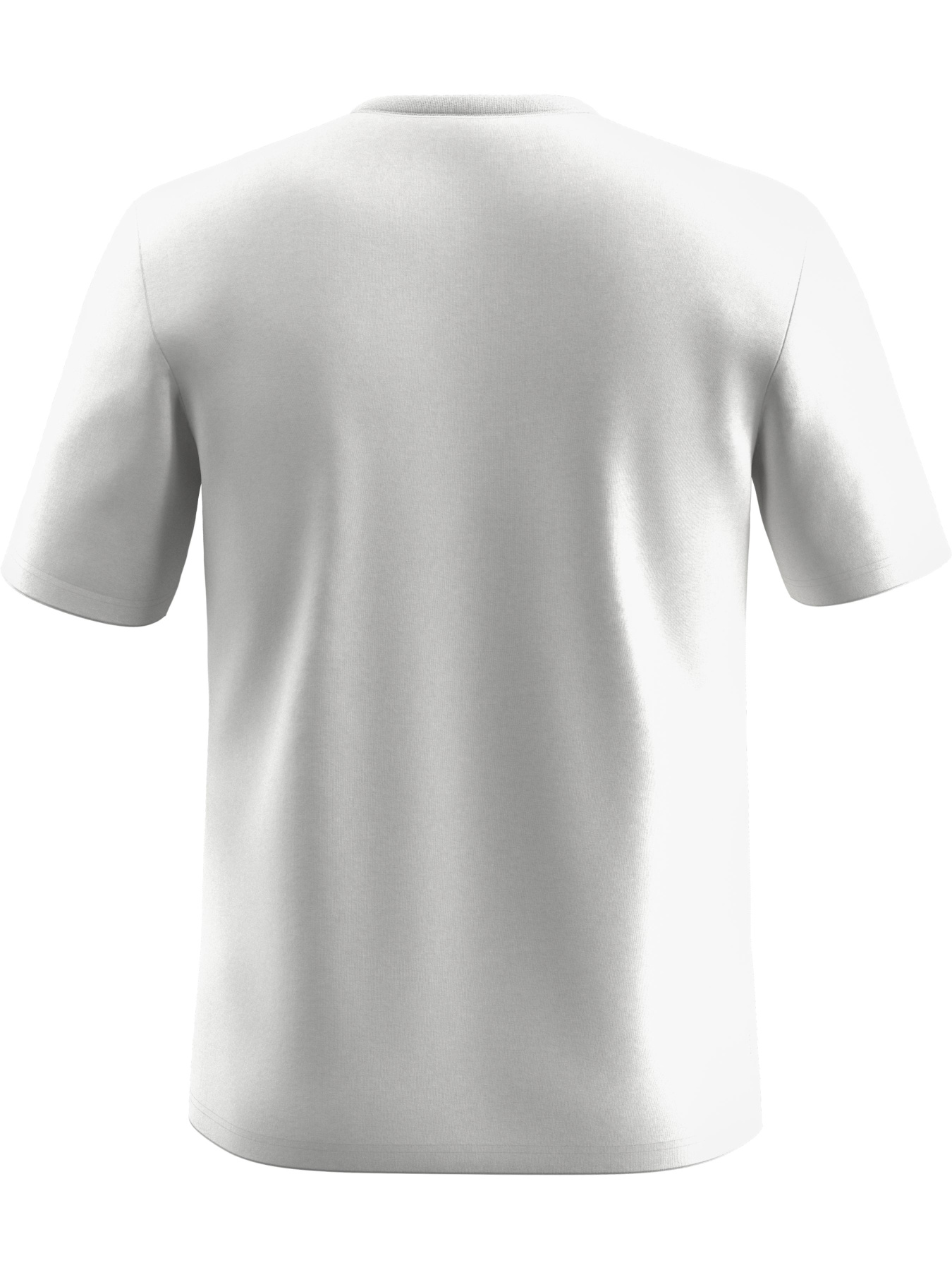 Спортивная футболка Salewa Solidlogo Dri-Release Tee модель 100065735 Спортивная футболка Salewa Solidlogo Dri-Release Tee модель 100065735 Фото