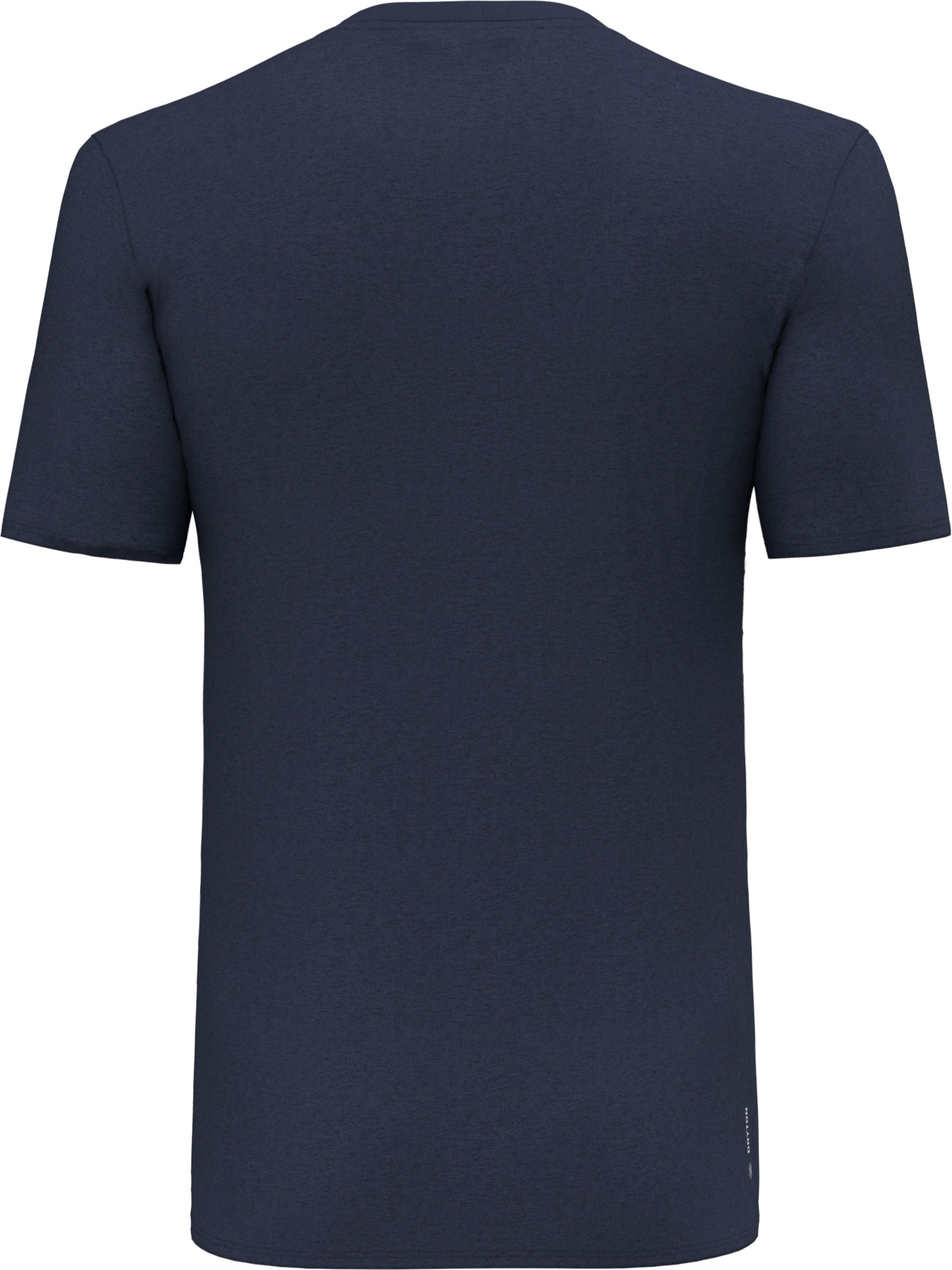 Футболка спортивная Salewa Solidlogo Dri-Release Tee модель 100073350 Фото