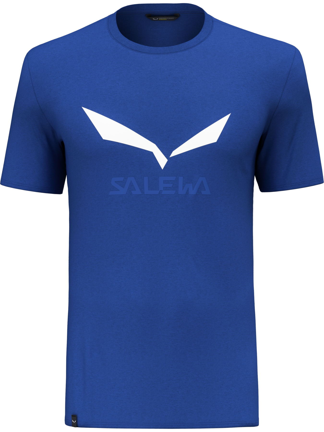Футболка спортивная Salewa Solidlogo Dri-Release Tee модель 100068607 Фото