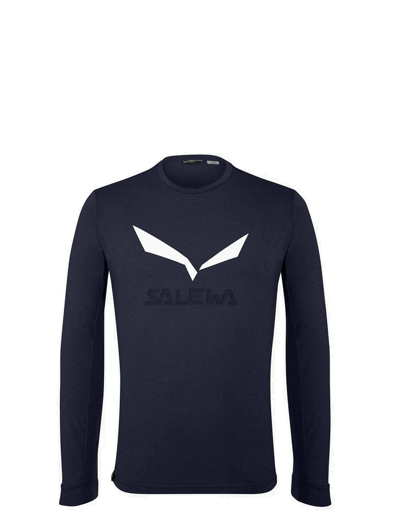 Кофта спортивная Salewa Solidlogo Dry Tee модель 100072416 Фото