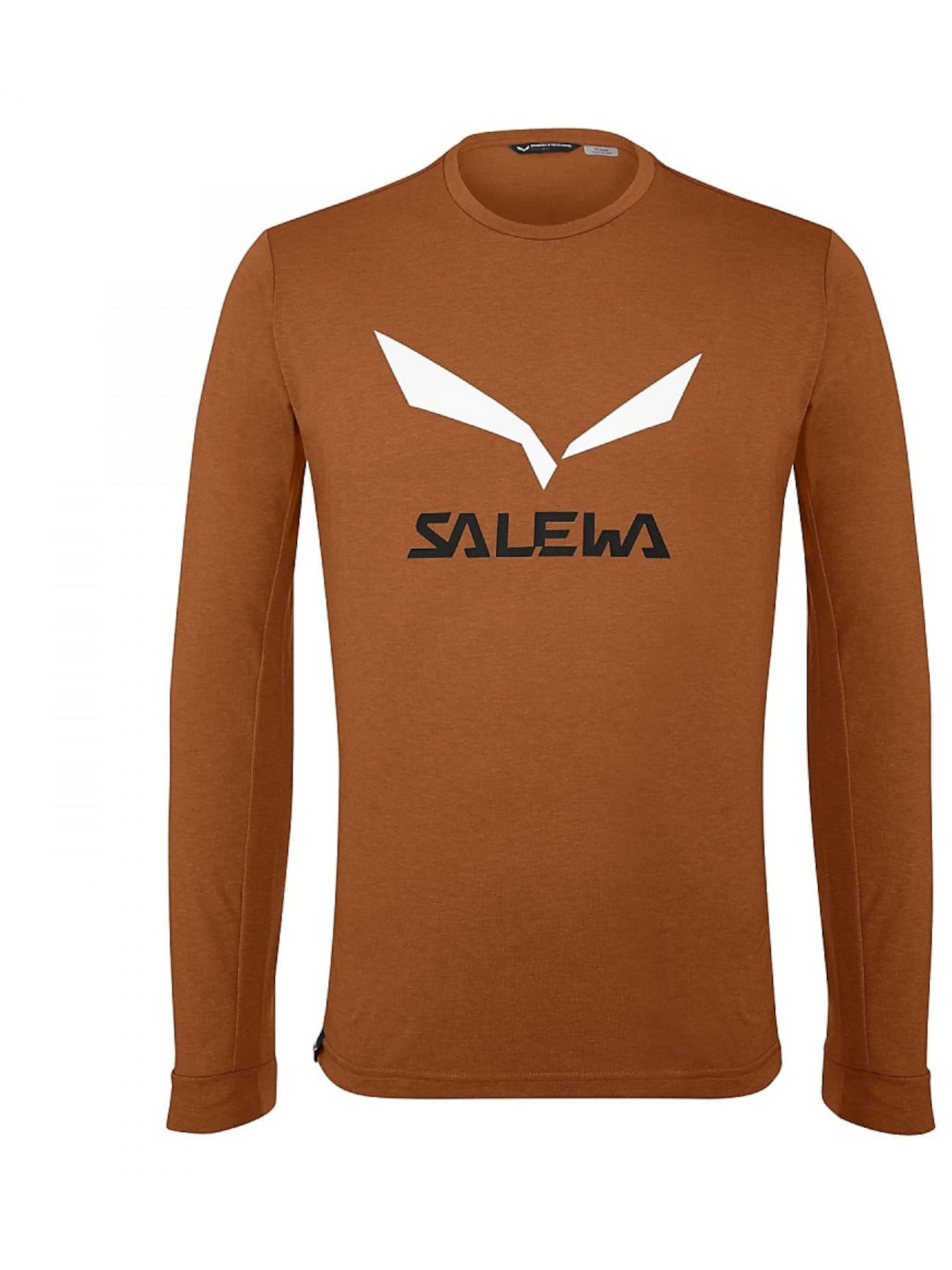 Спортивная кофта Salewa Solidlogo Dry Tee модель 100063903 Фото