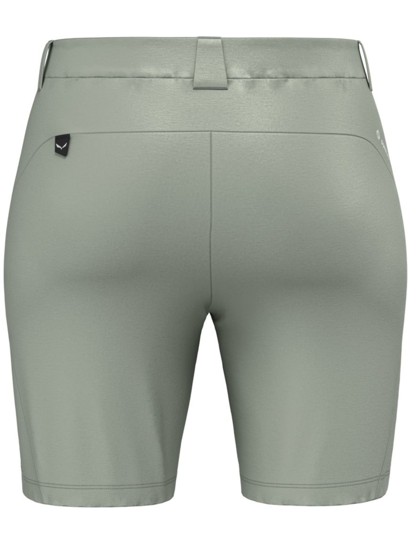 Шорты спортивные Salewa Talvena Dst Shorts модель 100073308 Фото