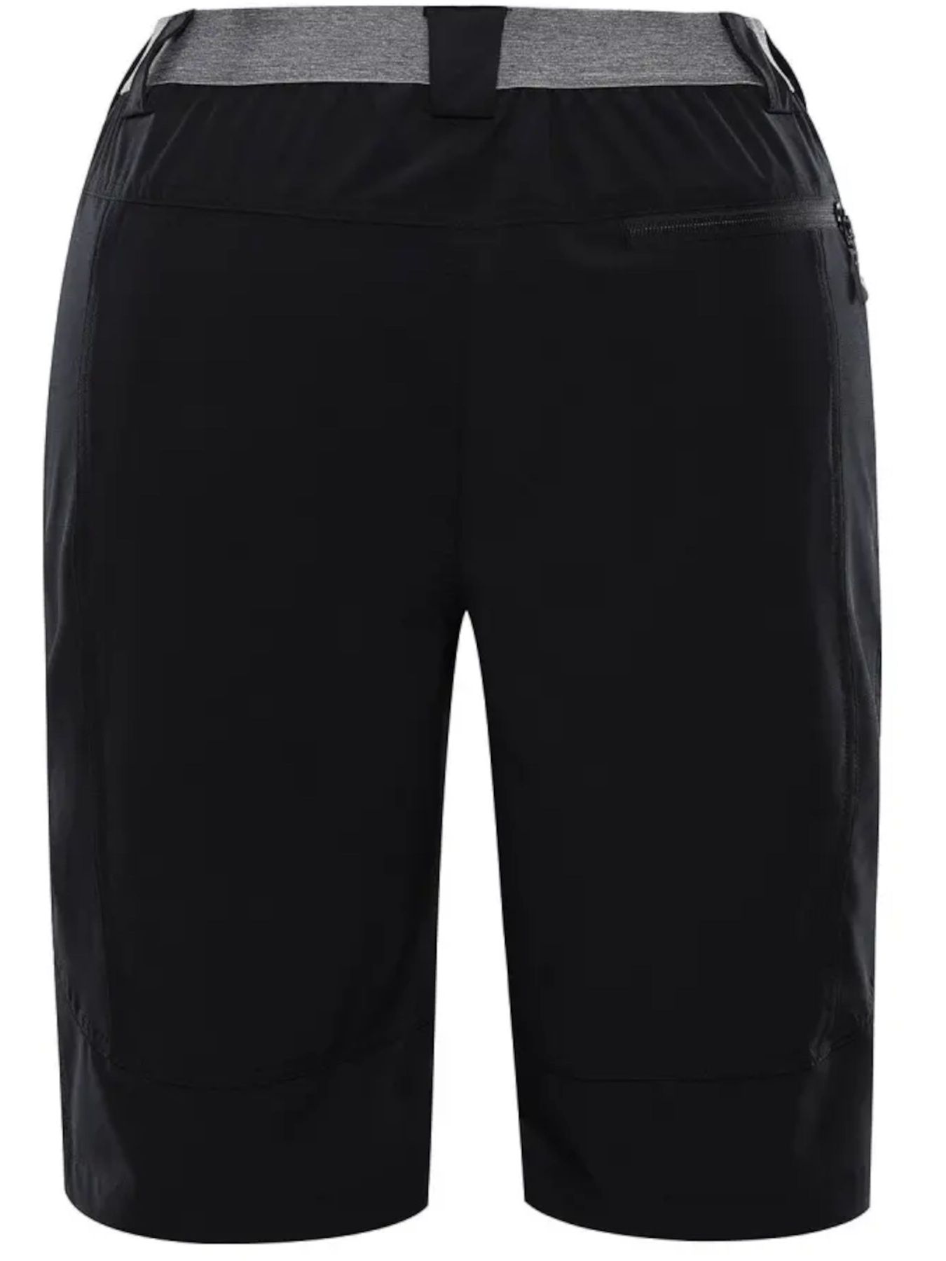 Шорты спортивные ALPINE PRO Zamb модель 100019227 Фото