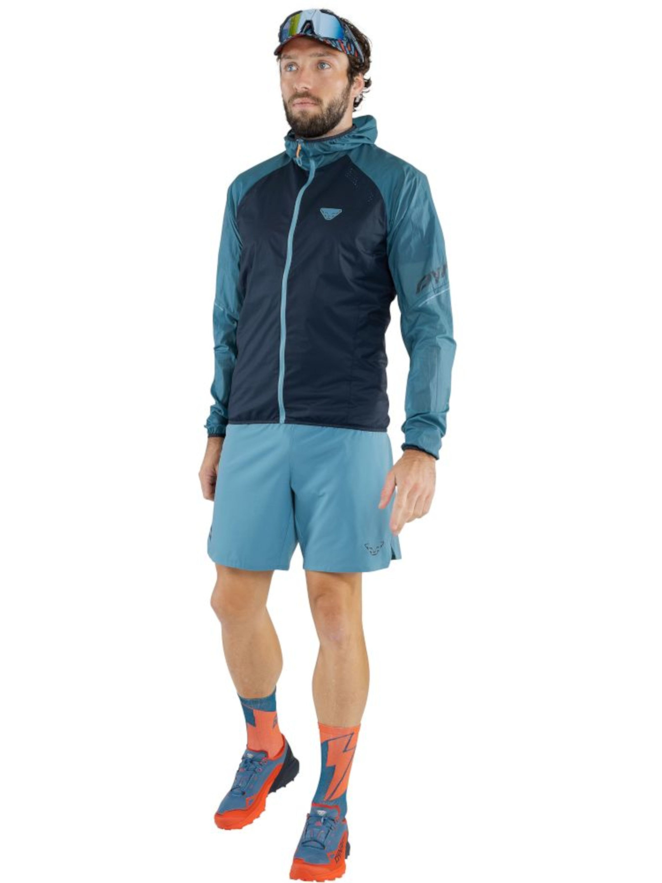 Шорти спортивні DYNAFIT Alpine Shorts Модель 100064899 Фото