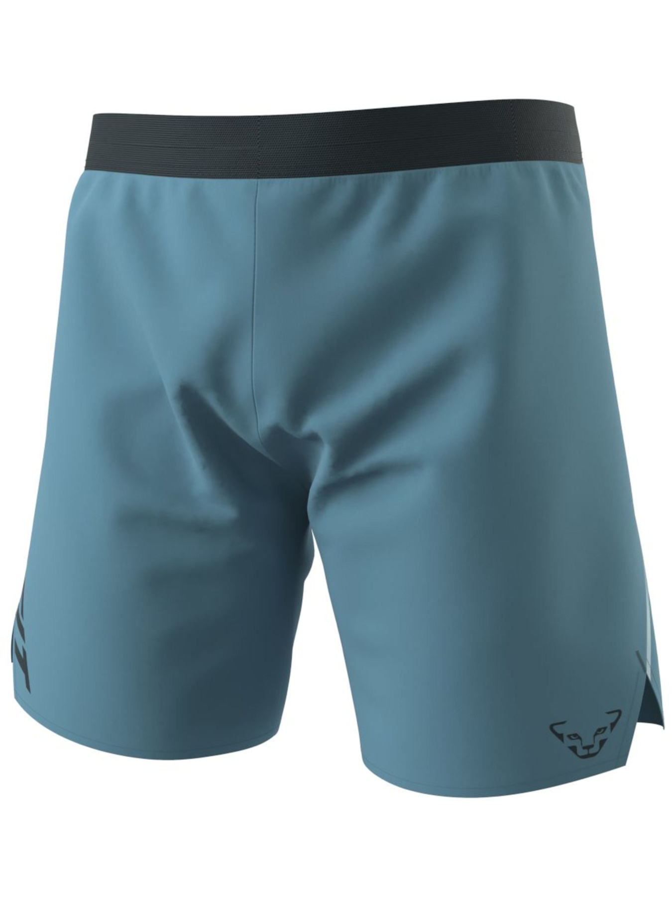 Шорти спортивні DYNAFIT Alpine Shorts Модель 100064899 Фото