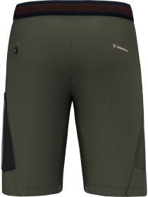 Шорты спортивные Salewa Pedroc 3 Dst Cargo Shorts модель 100073321 Фото