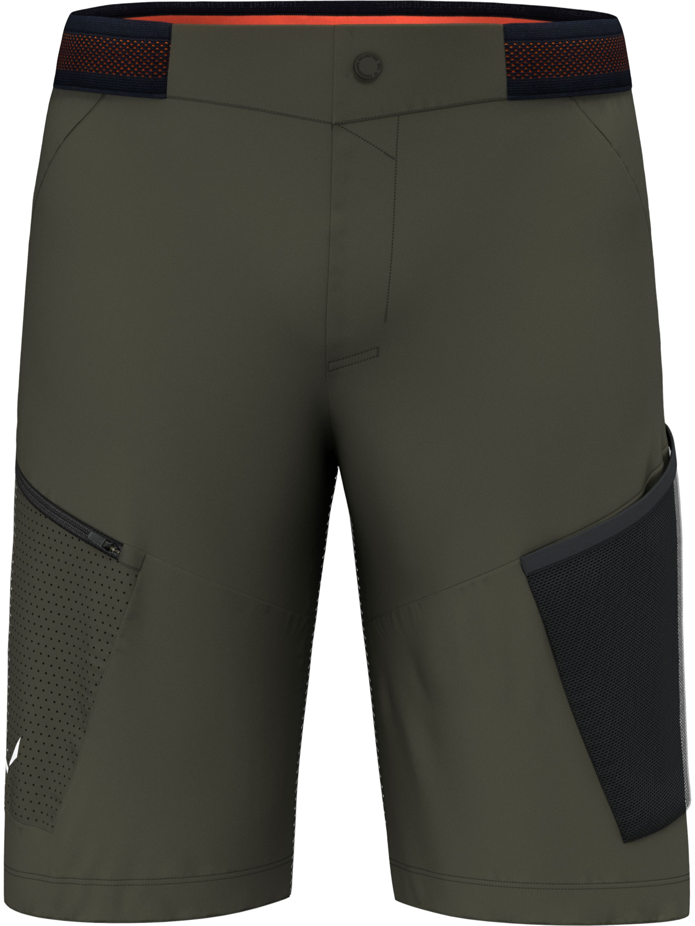Шорты спортивные Salewa Pedroc 3 Dst Cargo Shorts модель 100073321 Фото