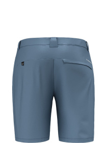 Шорты спортивные Salewa Puez Talveno DST Mns Shorts модель 100073487 Фото