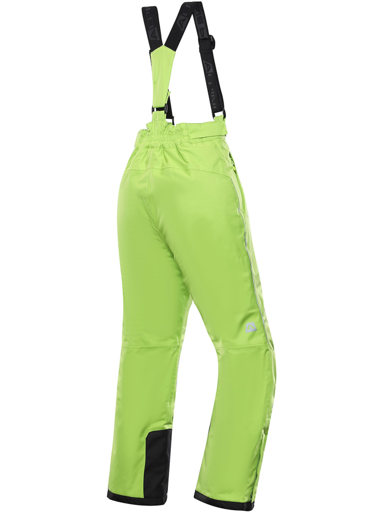 Аутдор та гірськолижні штани ALPINE PRO Lermono модель 100064494 Фото