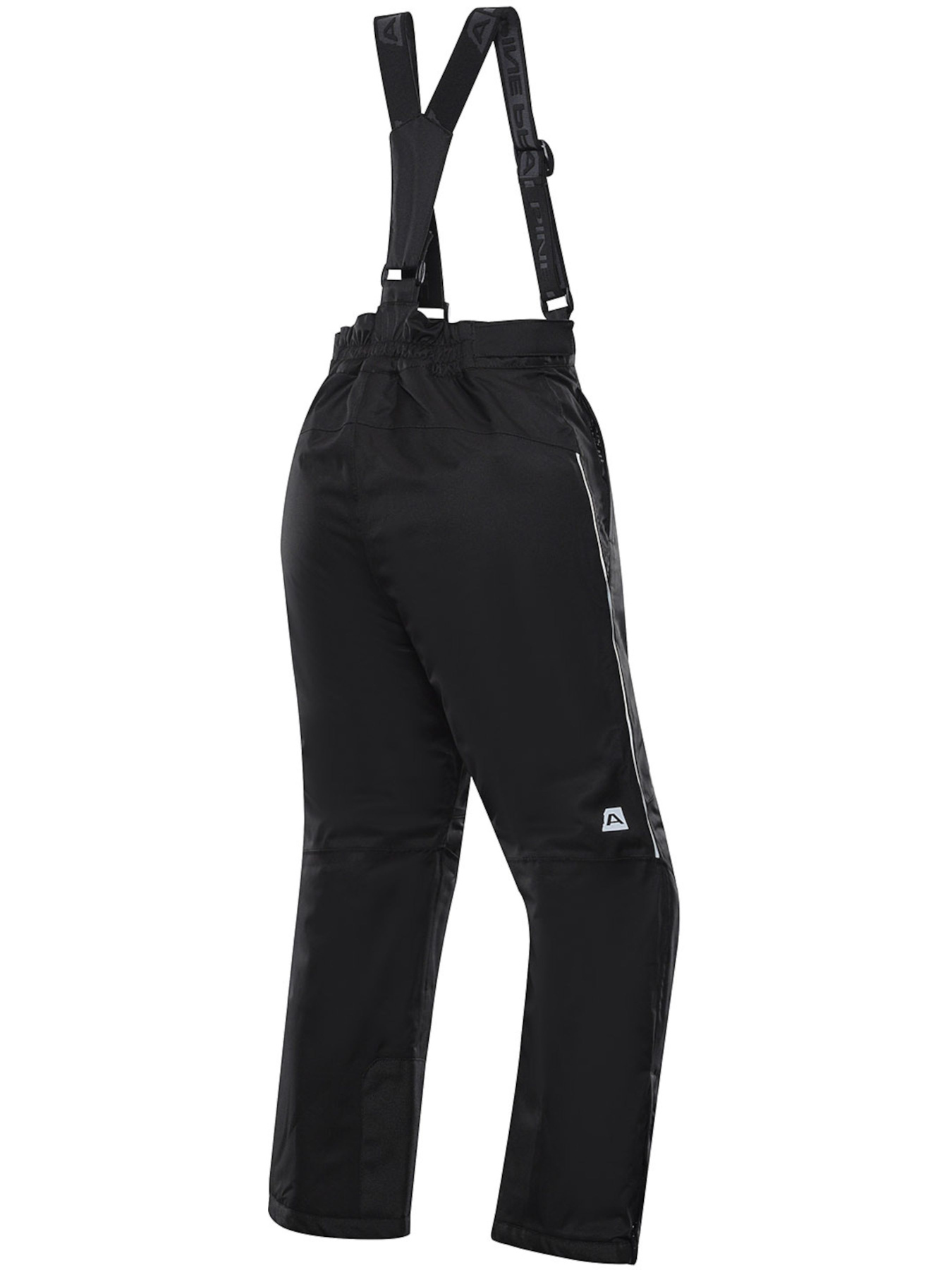 Аутдор та гірськолижні штани ALPINE PRO Lermono модель 100017524 Фото