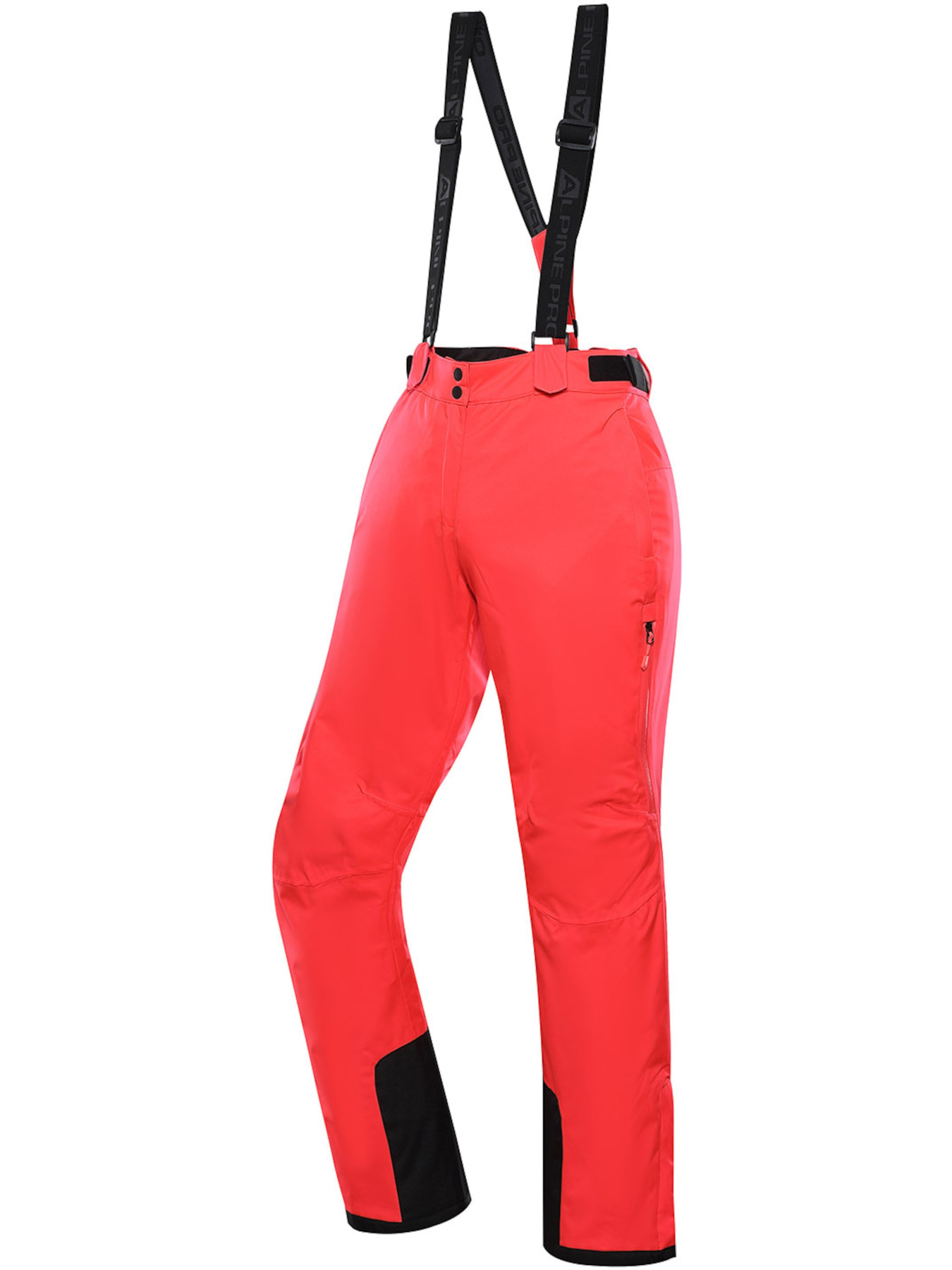 Аутдор и горнолыжные штаны ALPINE PRO Lermona модель 100064500 Аутдор и горнолыжные штаны ALPINE PRO Lermona модель 100064500 Фото