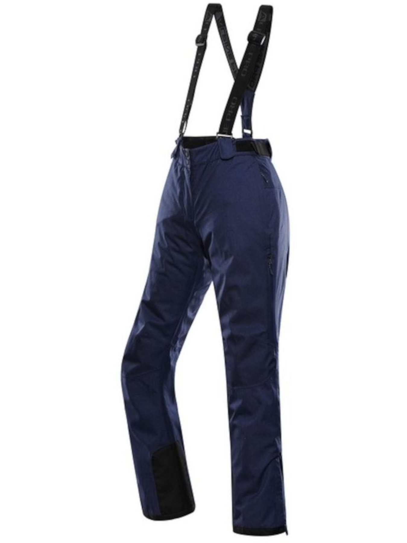 Аутдор и горнолыжные штаны ALPINE PRO Lermona модель 100004688 Фото
