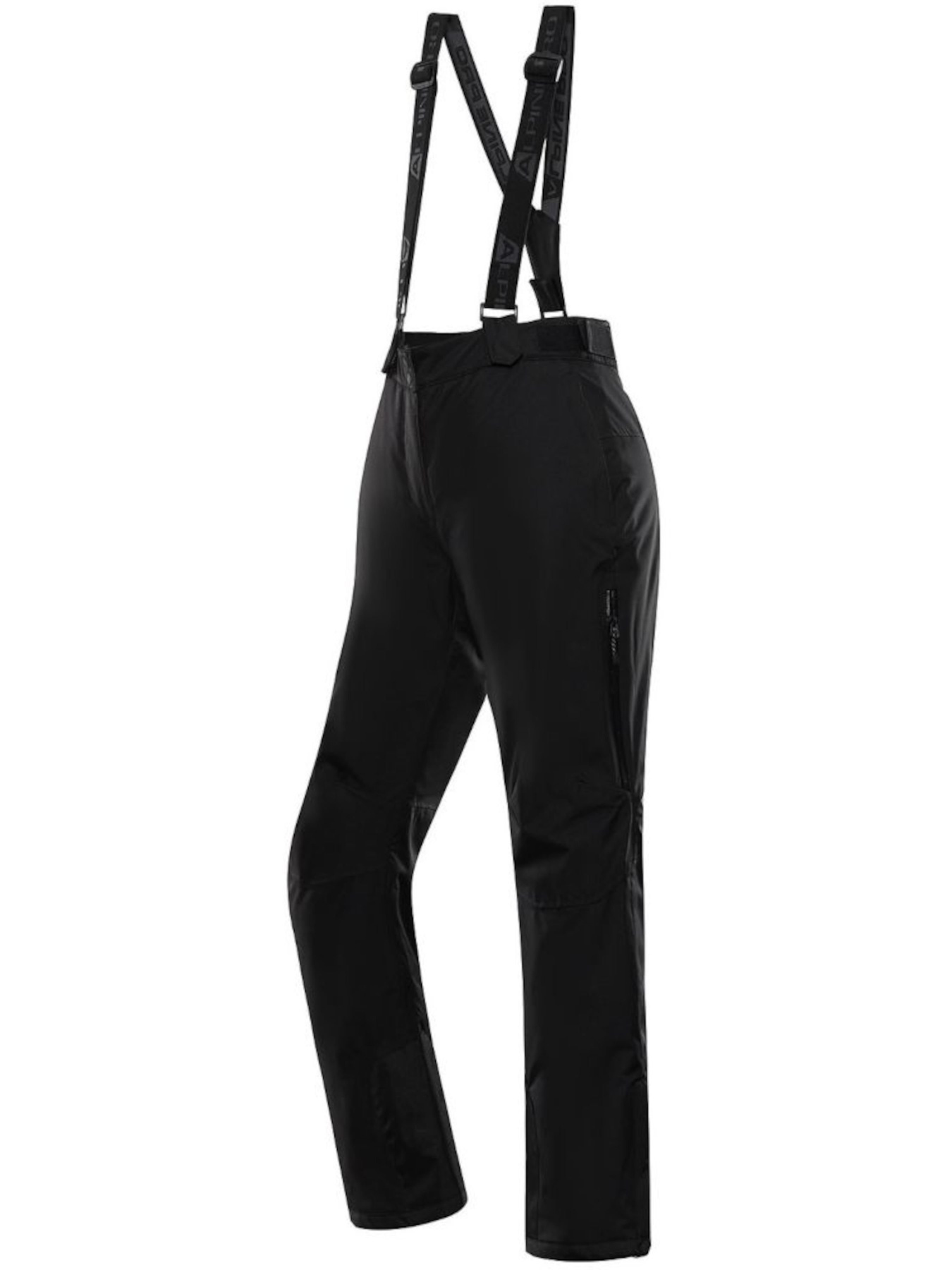 Аутдор и горнолыжные штаны ALPINE PRO Lermona модель 100064507 Фото