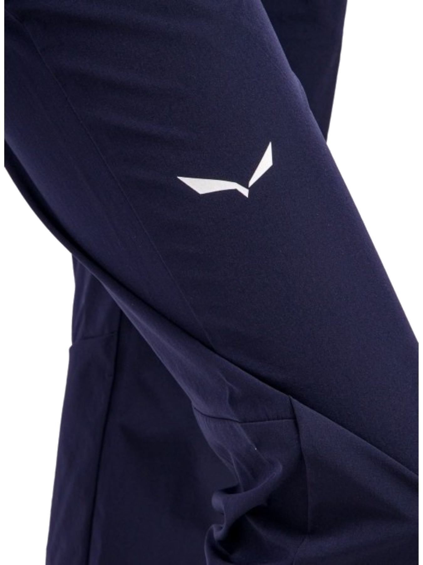 Лыжные штаны Salewa Talvena 2 Dst Pnt модель 100072088 Фото