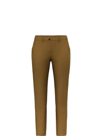 Повседневные штаны Salewa Fanes Hemp  Pnt модель 100073488 Фото