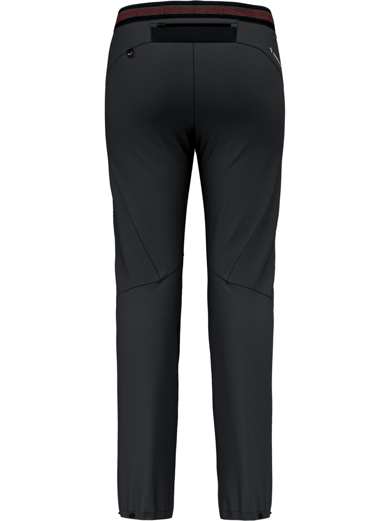 Штаны спортивные Salewa Pedroc 4 DST Regular Pnt модель 100073040 Фото