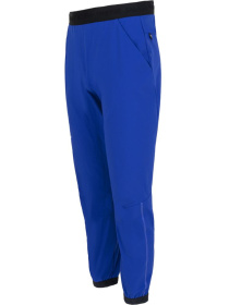 Лыжные штаны Salewa Pedroc Dst Wo модель 100073821 Фото