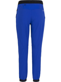 Лыжные штаны Salewa Pedroc Dst Wo модель 100073821 Фото