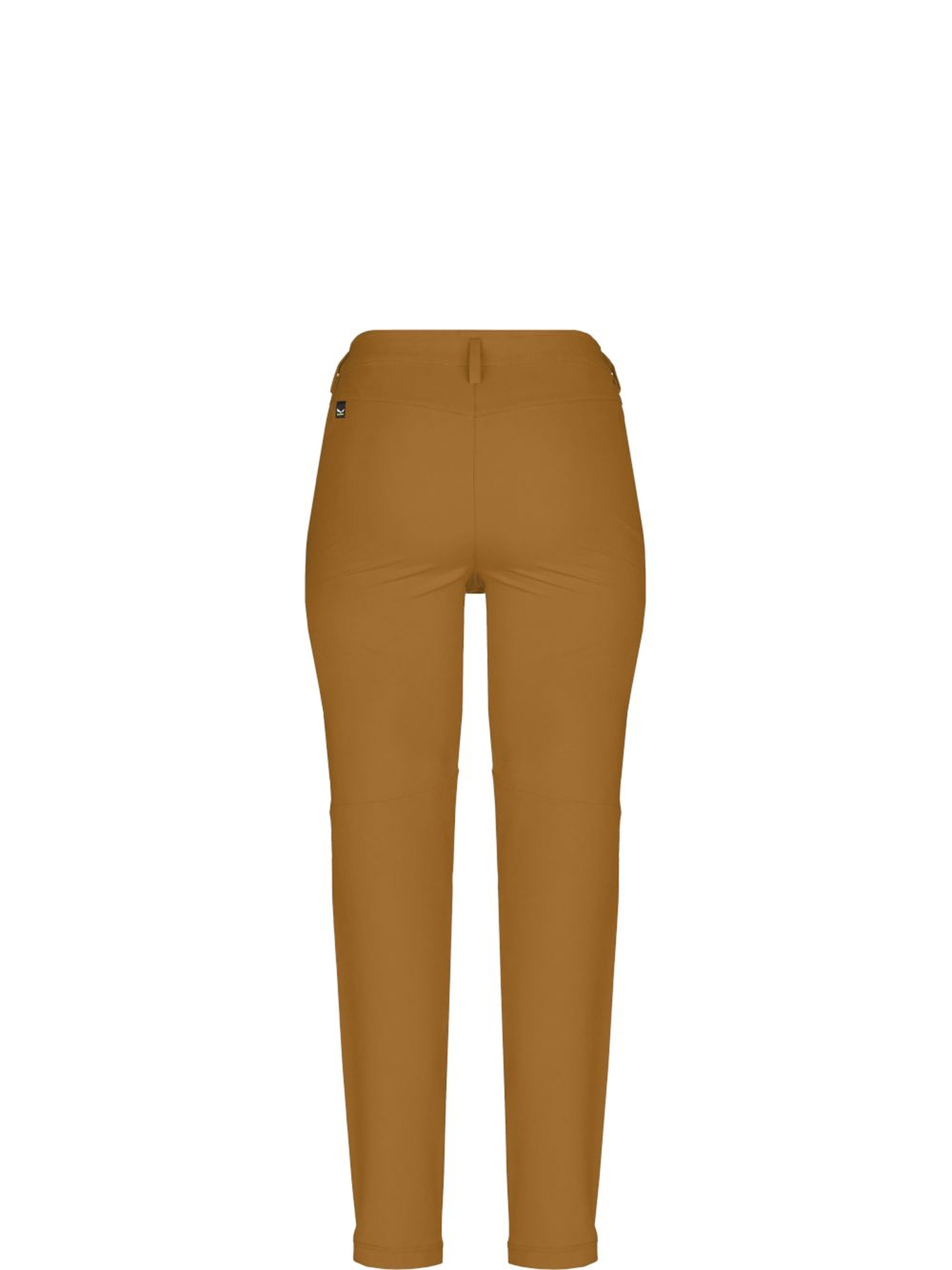 Лыжные штаны Salewa Puez Dolomitic 2 Dst Regular Pnt модель 100072432 Фото