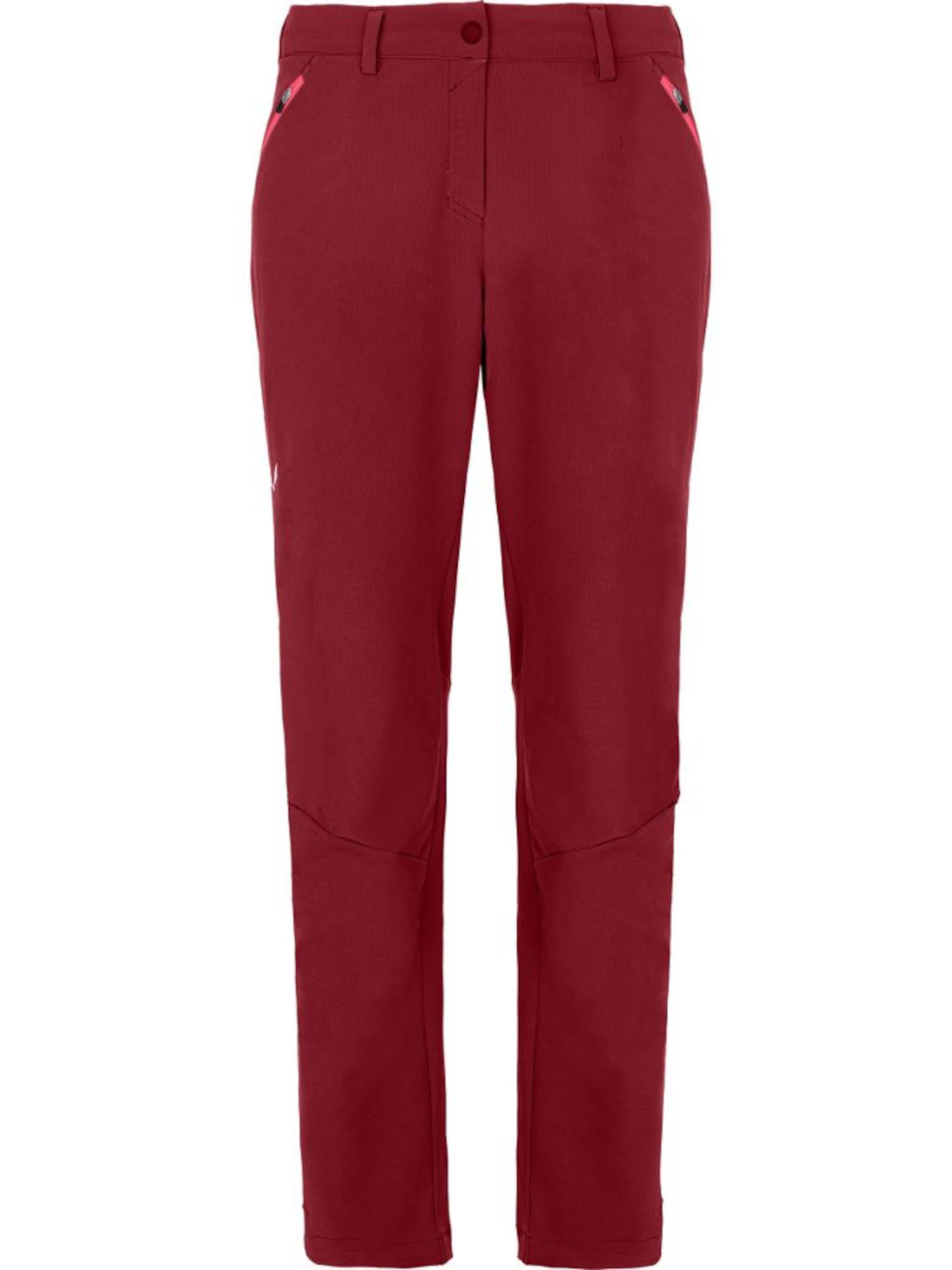 Штаны спортивные Salewa Terminal Pnt модель 100059341 Фото