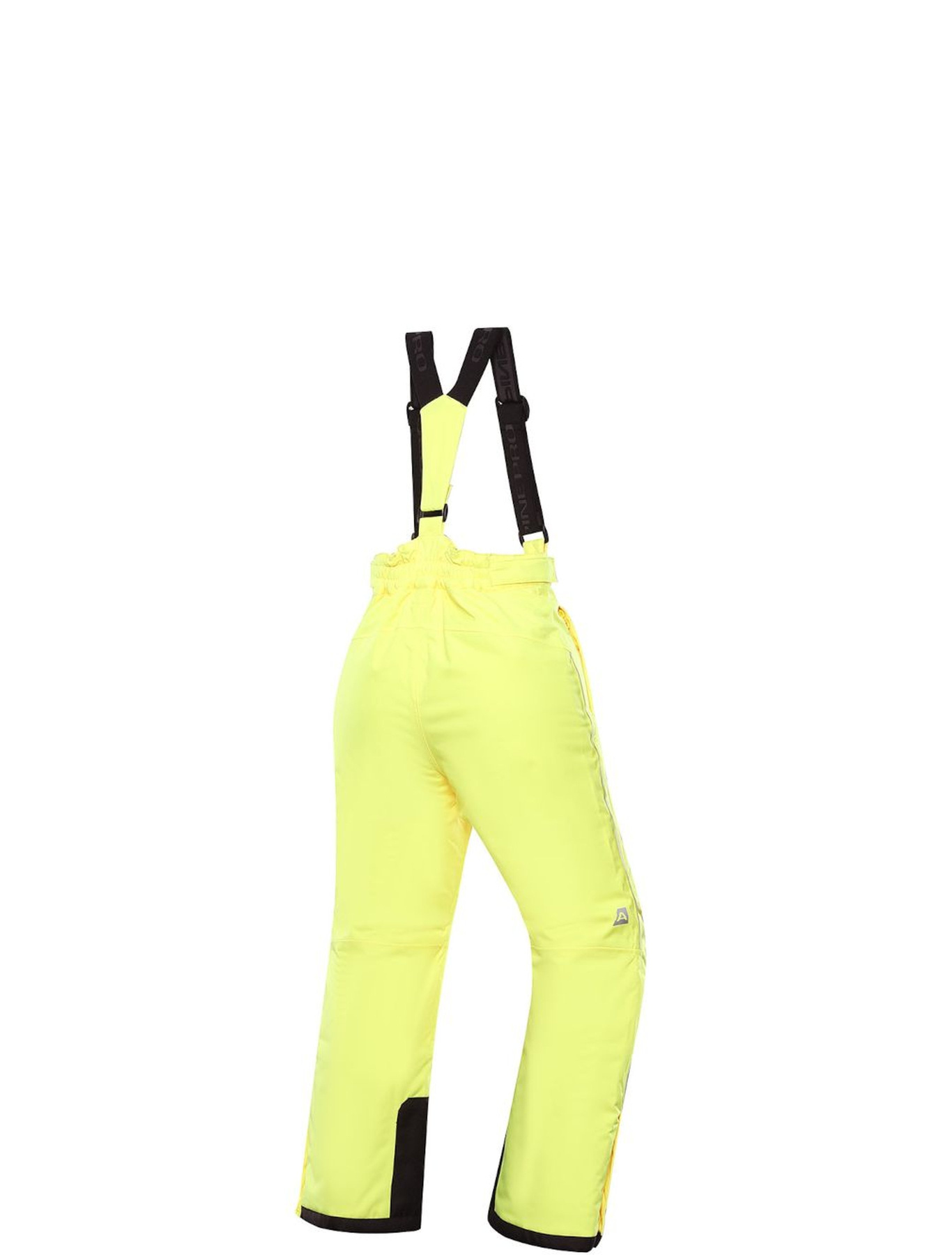 Аутдор та гірськолижні штани ALPINE PRO Lermon модель 100047458 Аутдор та гірськолижні штани ALPINE PRO Lermon модель 100047458 Фото