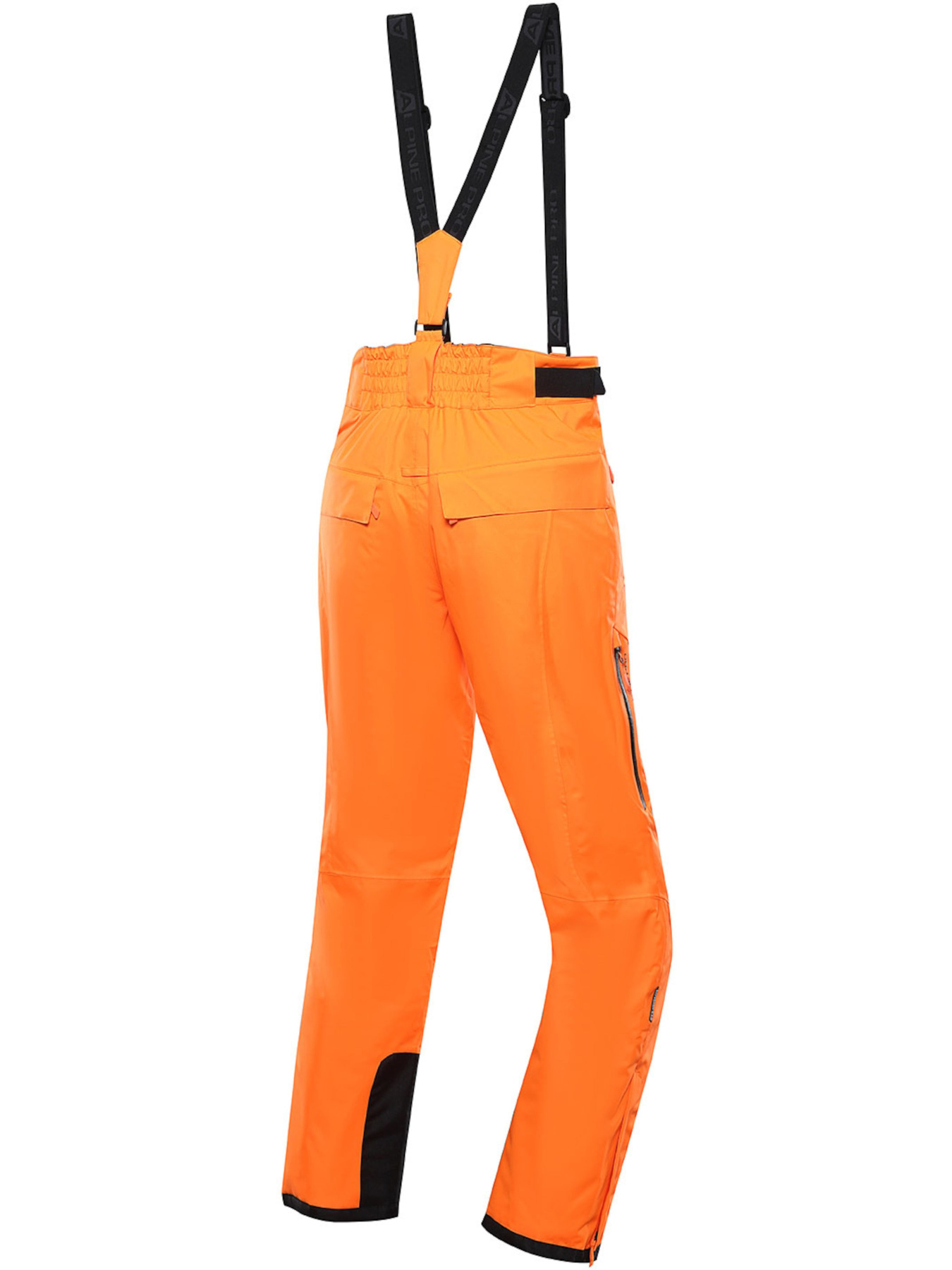 Аутдор та гірськолижні штани ALPINE PRO Lermon модель 100064510 Аутдор та гірськолижні штани ALPINE PRO Lermon модель 100064510 Фото