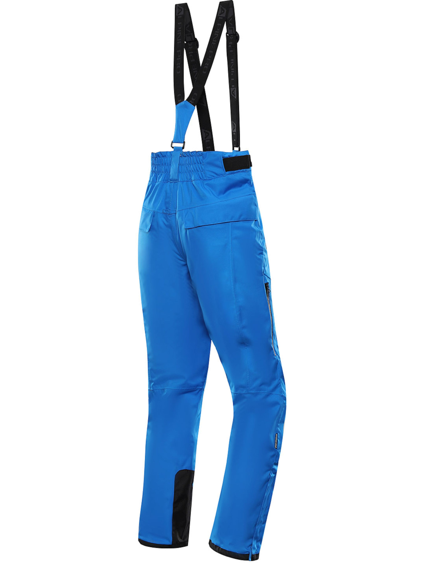 Лыжные штаны ALPINE PRO Lermon модель 100064509 Фото