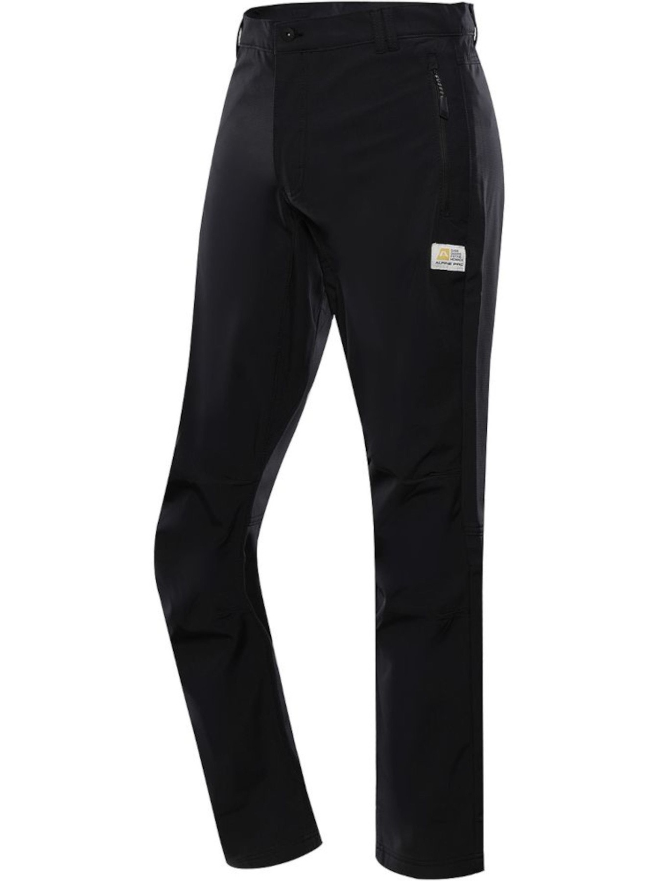 Спортивні штани ALPINE PRO Shinar модель 100006391 Фото