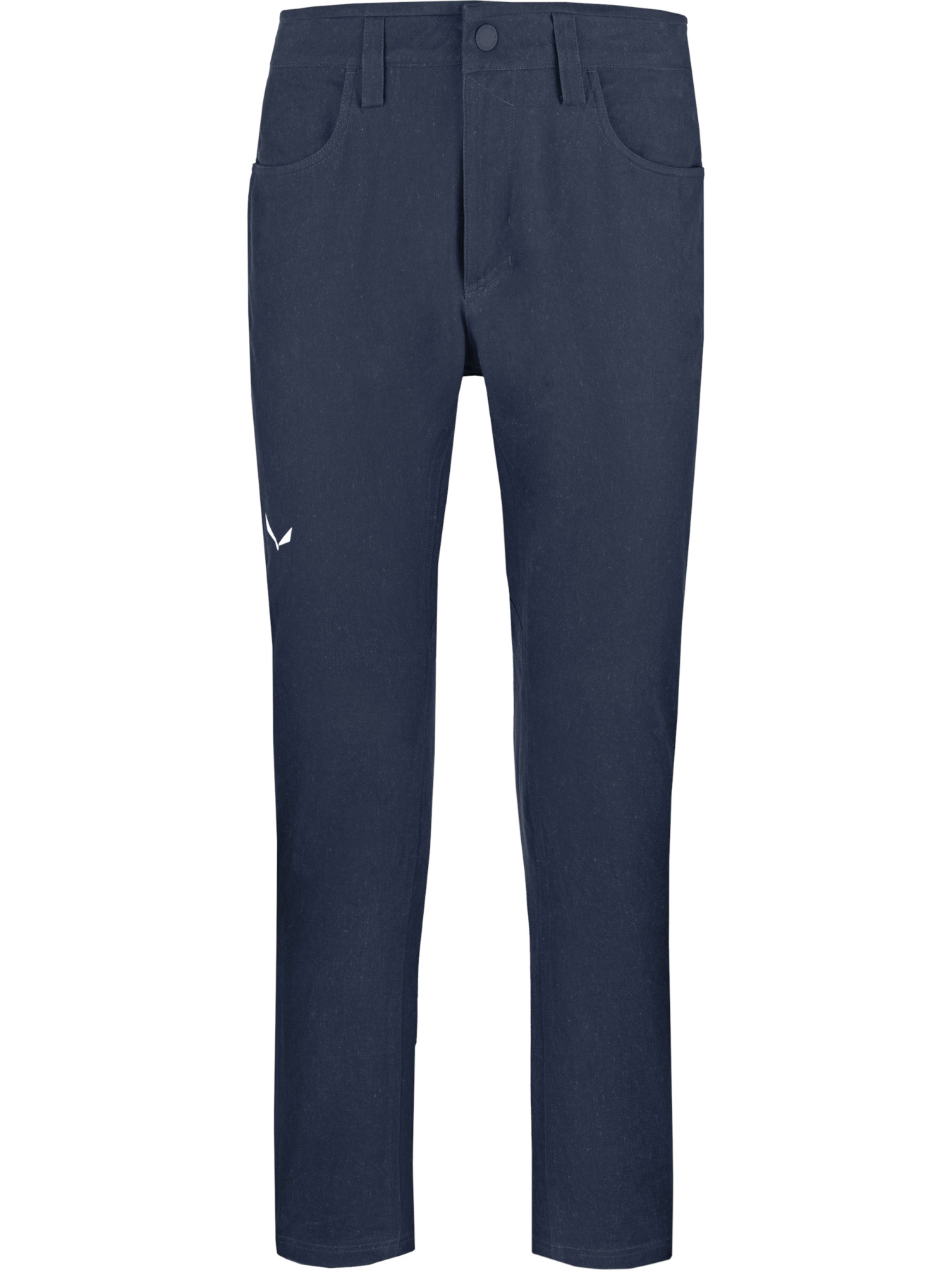 Штаны спортивные Salewa Fanes Hemp Pnt модель 100067989 Фото