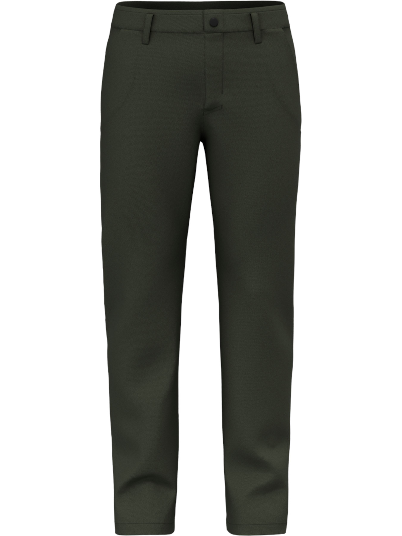 Брюки повседневные Salewa Fanes Hemp Pnt модель 100006501 Фото