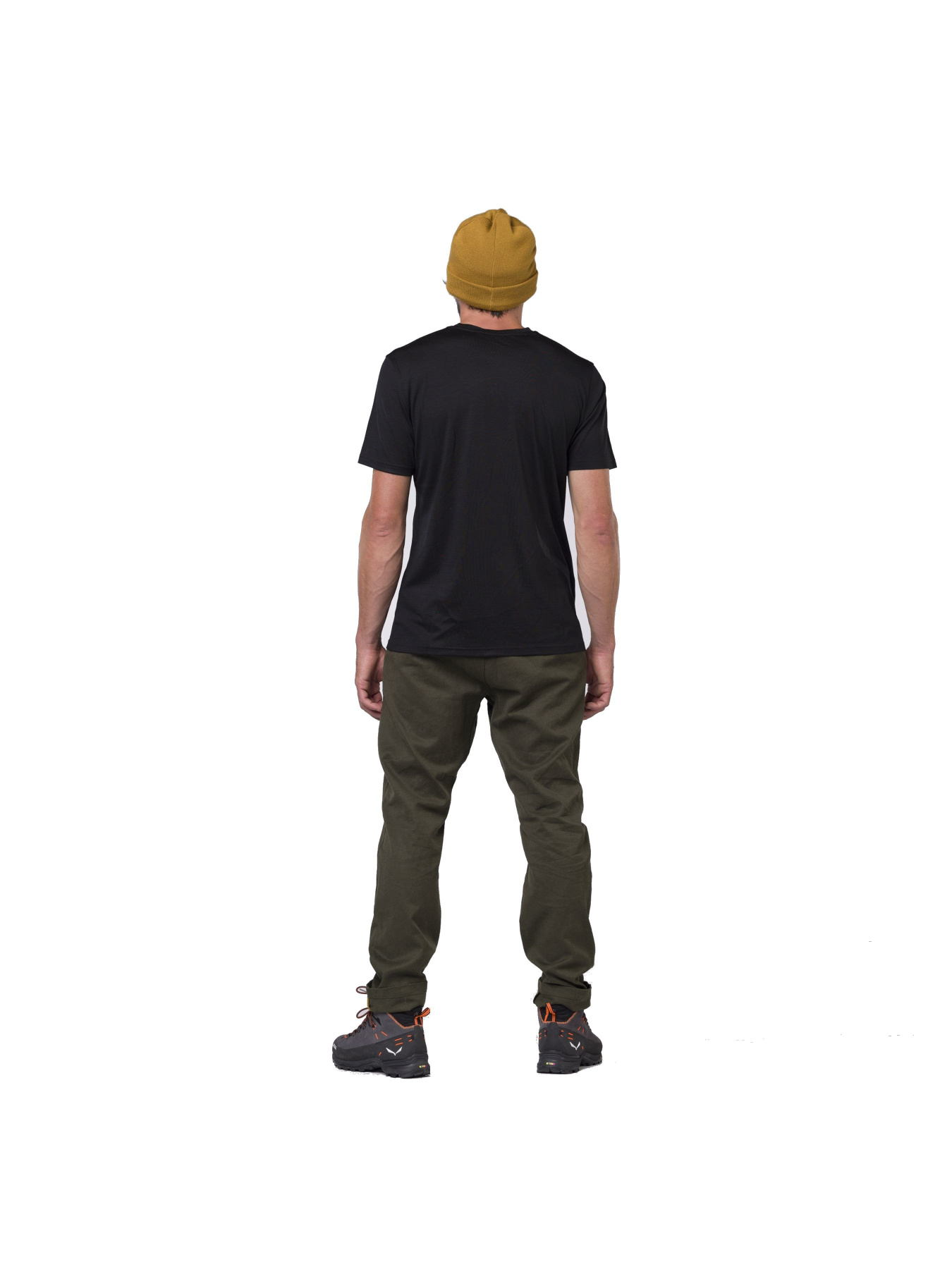 Повседневные штаны Salewa Fanes Hemp Pnt модель 100006501 Фото