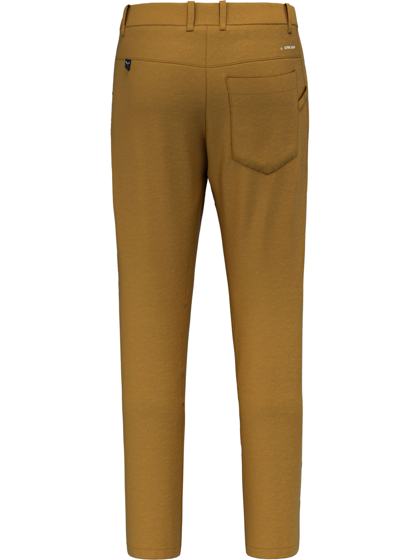 Штаны спортивные Salewa Lavaredo Hemp Pnt модель 100067881 Фото