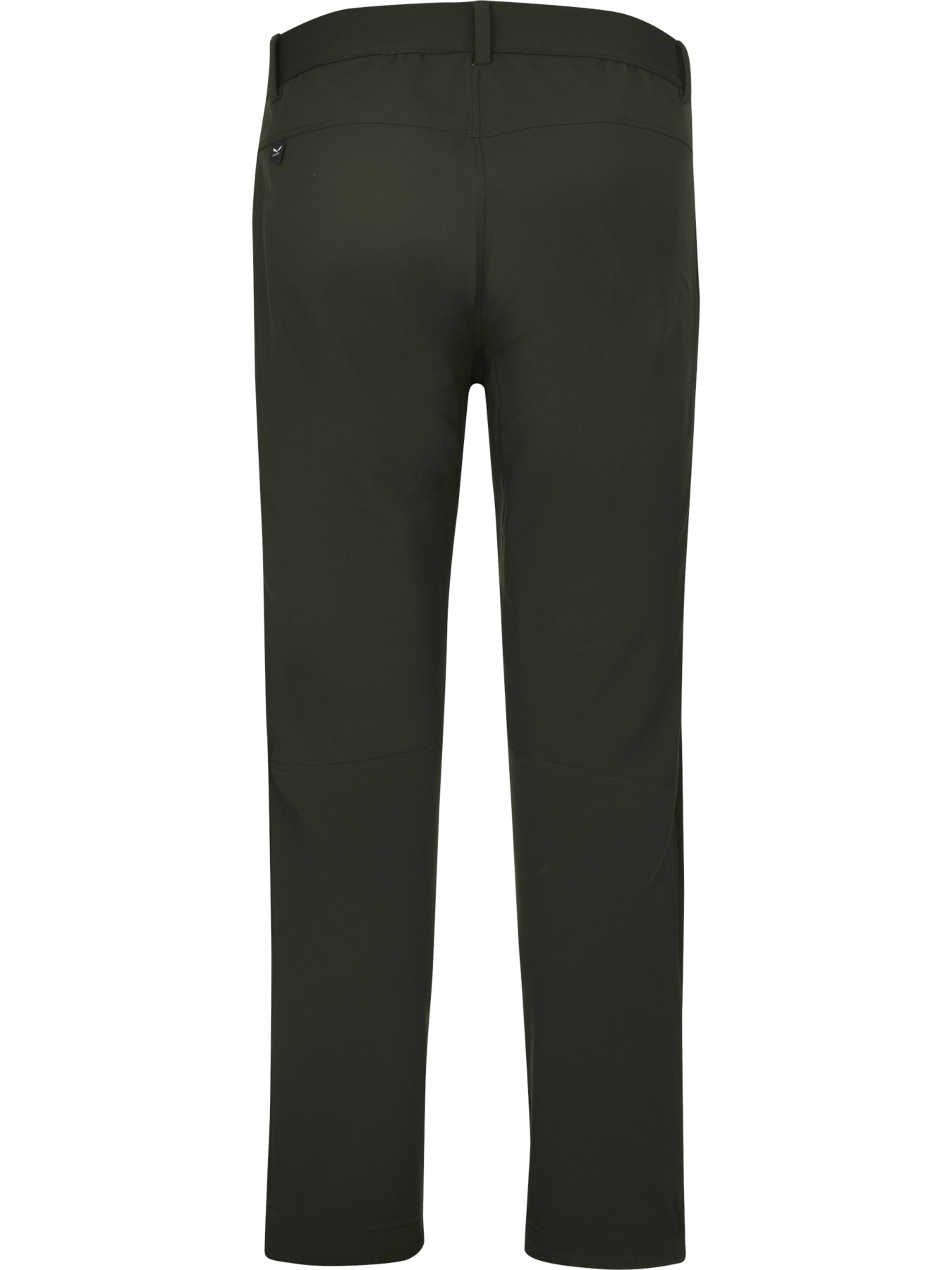 Штаны спортивные Salewa Dolomia Pnt модель 100005242 Фото